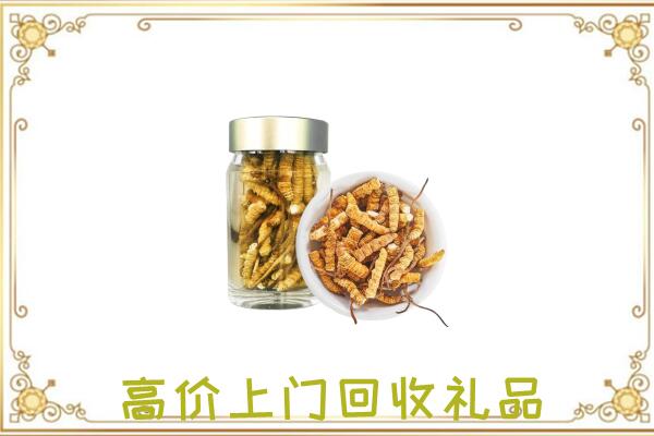 赫山周边回收虫草